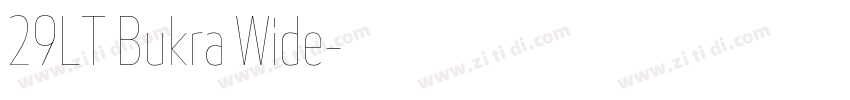 29LT Bukra Wide字体转换